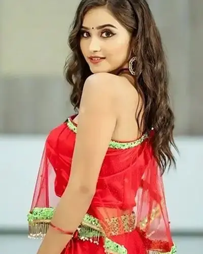 Escort In Palayankottai